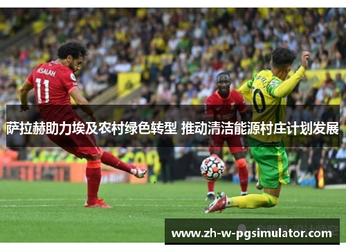 萨拉赫助力埃及农村绿色转型 推动清洁能源村庄计划发展
