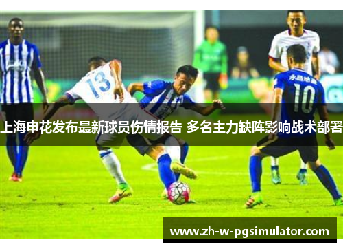 上海申花发布最新球员伤情报告 多名主力缺阵影响战术部署 上海申花发布最新球员伤情报告 多名主力缺阵影响战术部署