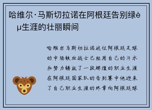 哈维尔·马斯切拉诺在阿根廷告别绿茵生涯的壮丽瞬间